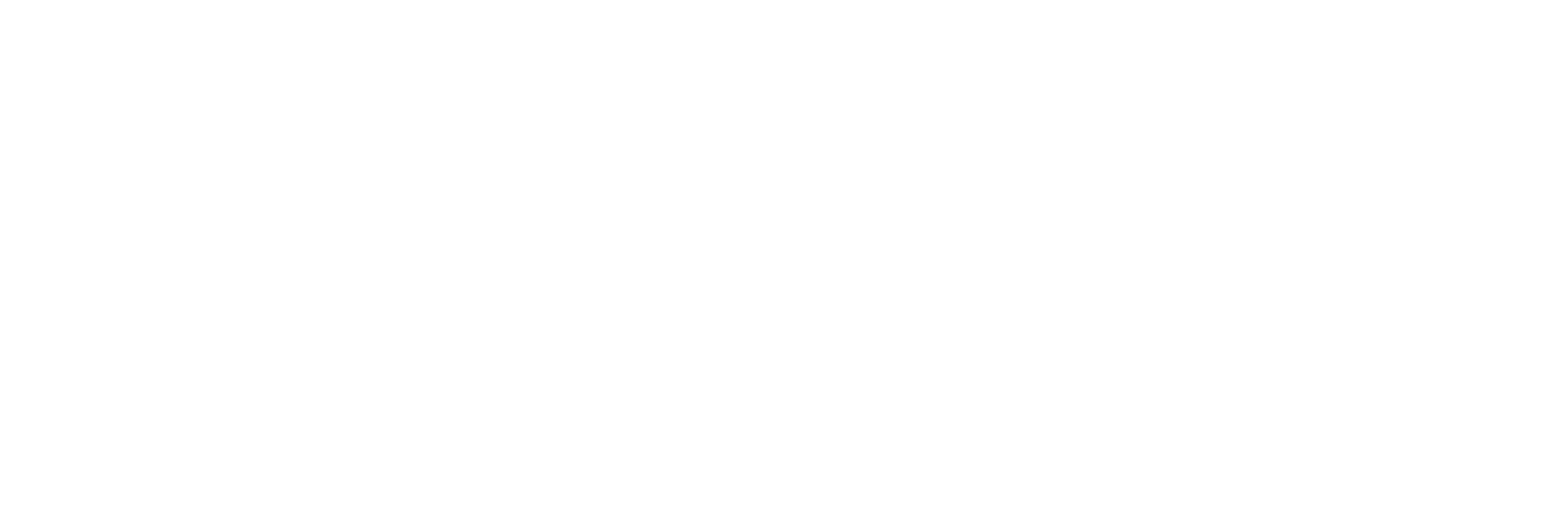 Holistica